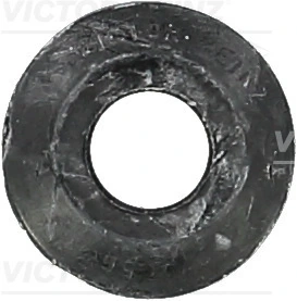 Seal Ring, valve stem